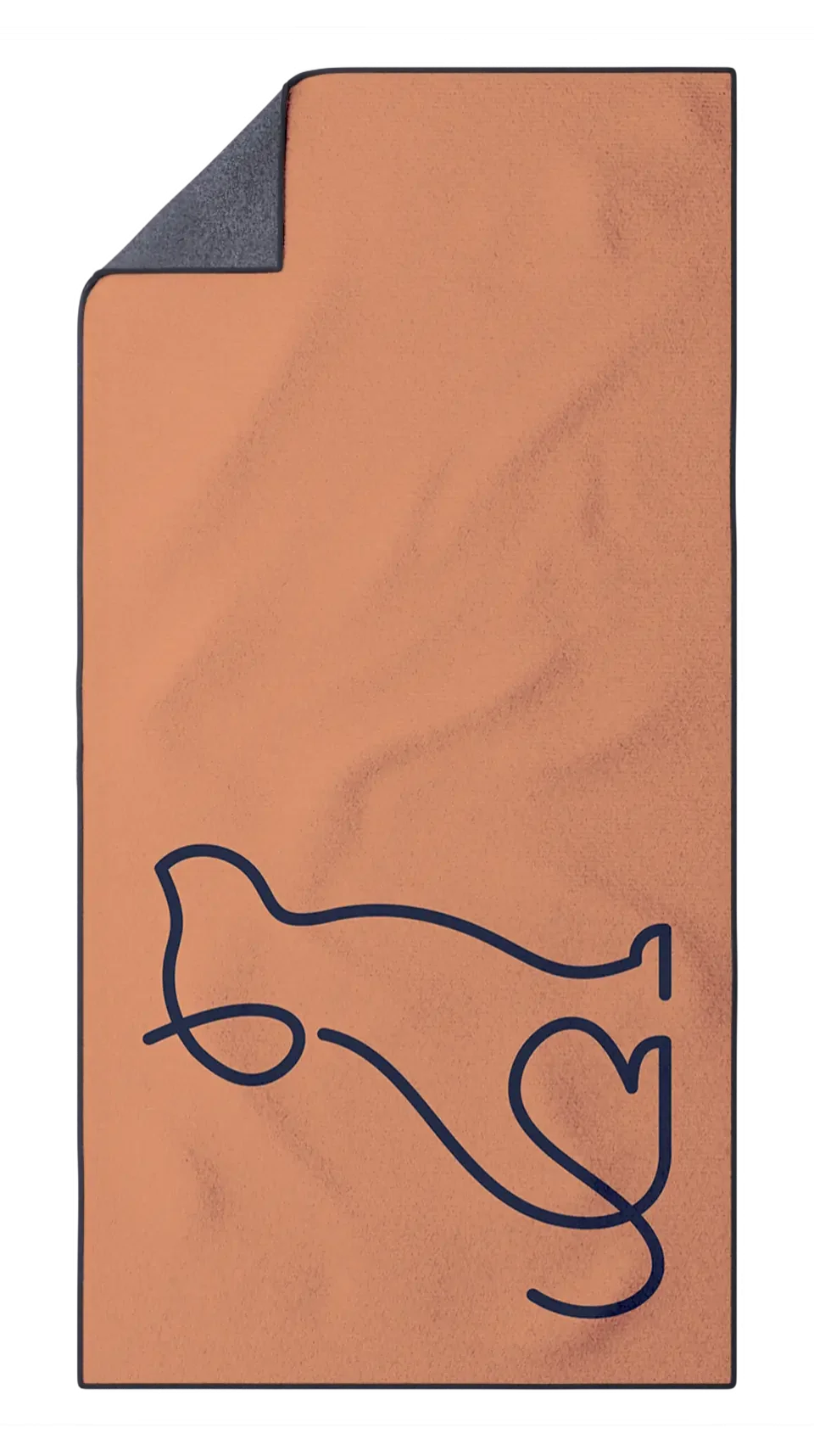 FiberDry-Mockup-Blank