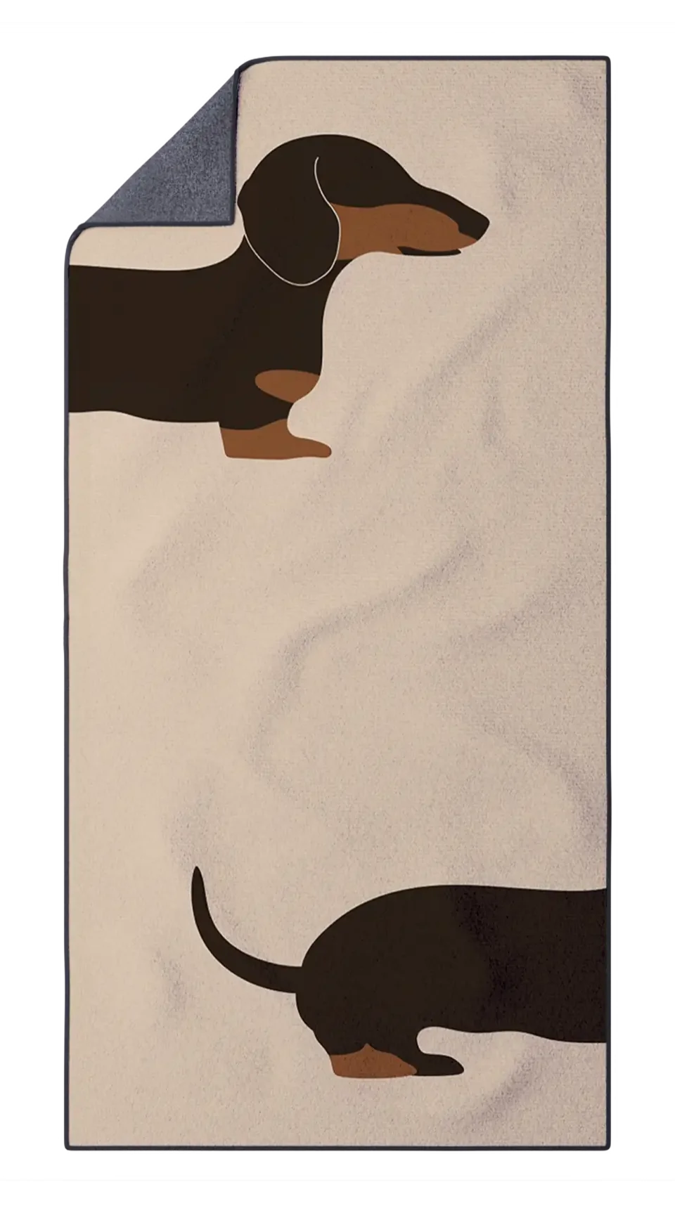FiberDry-Mockup-Blank