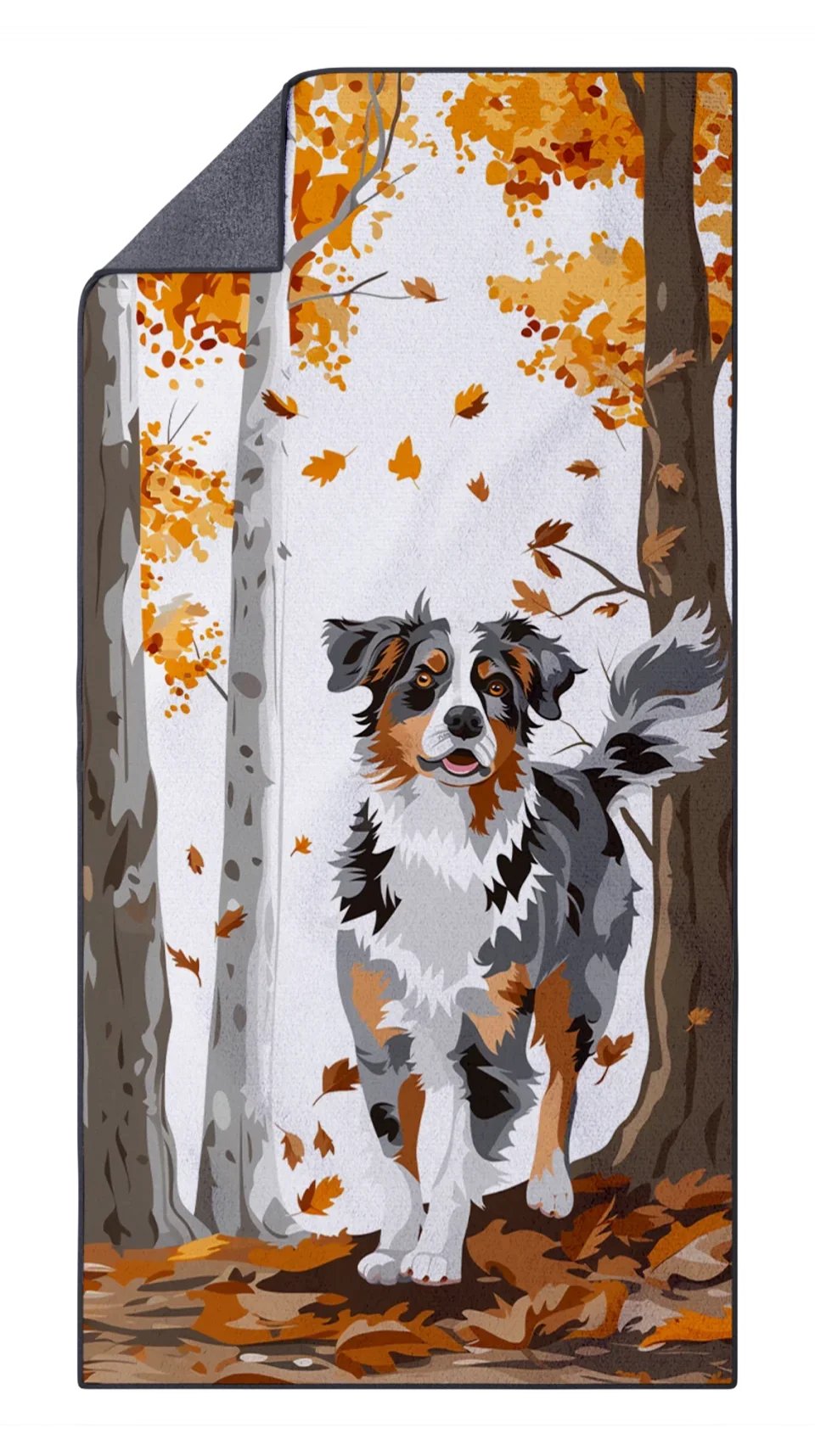 FiberDry-Mockup-Blank