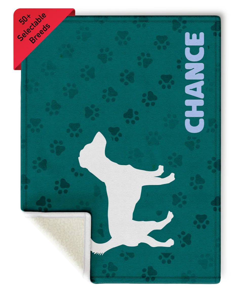 SunSherpa Mock-30x40 - DS - Chance