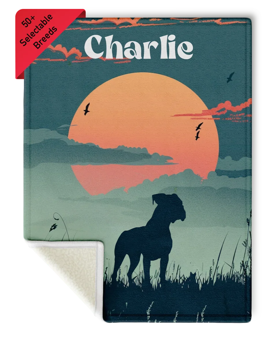 SunSherpa Mock-30x40 - ss - charlie