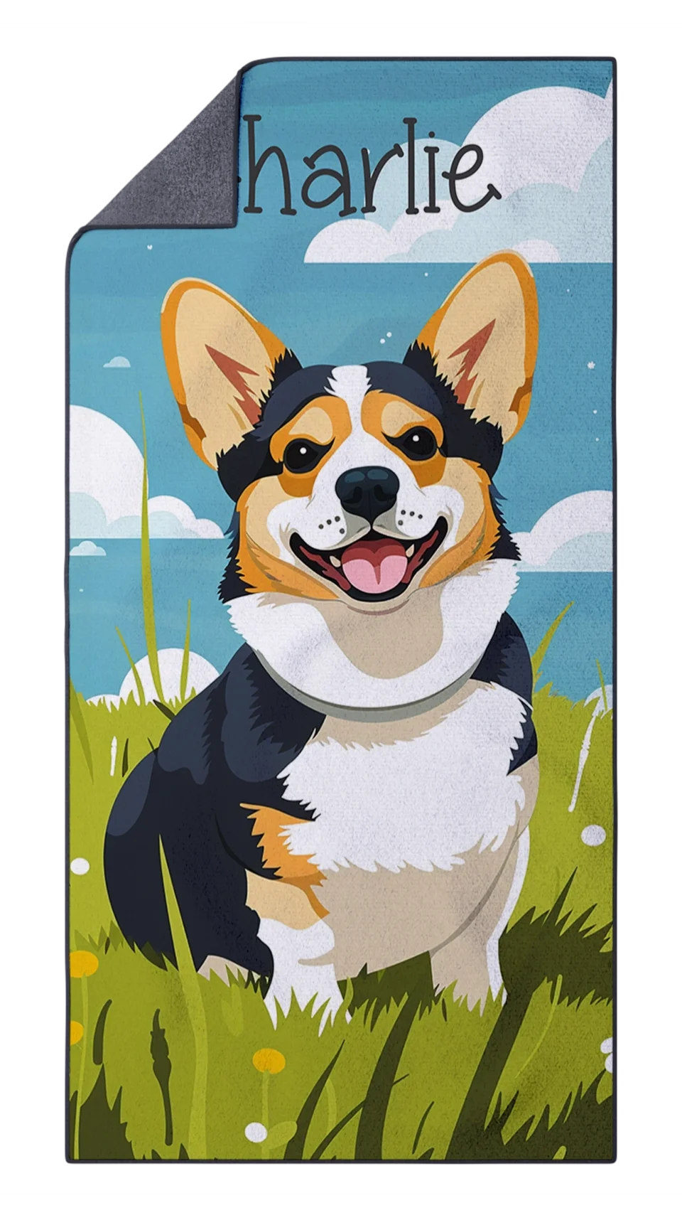 FiberDry-Mockup-Courageous Corgi-Charlie