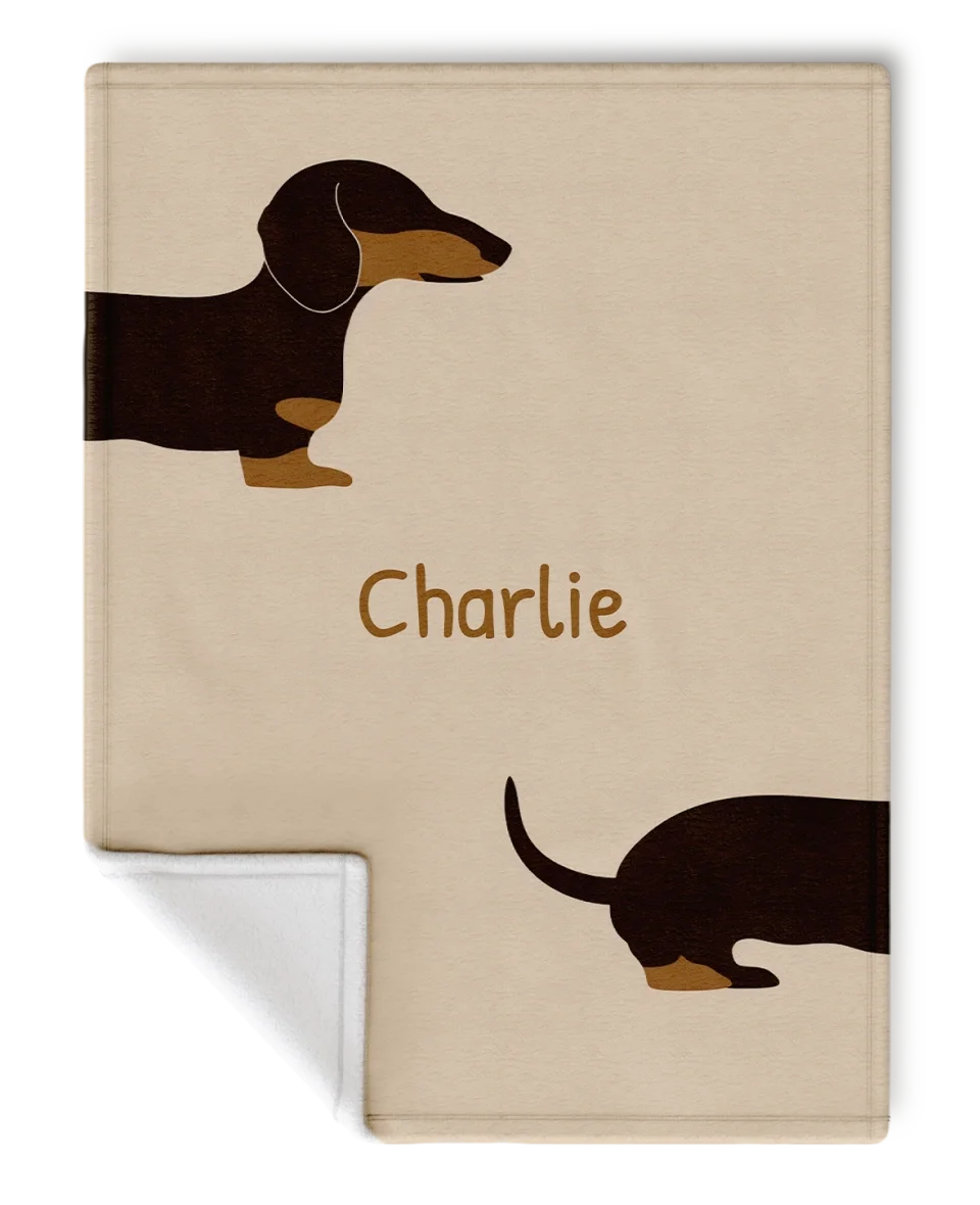 SunSilk Mock-30x40 - charlie